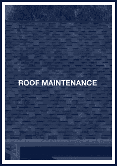 roof maintenance company